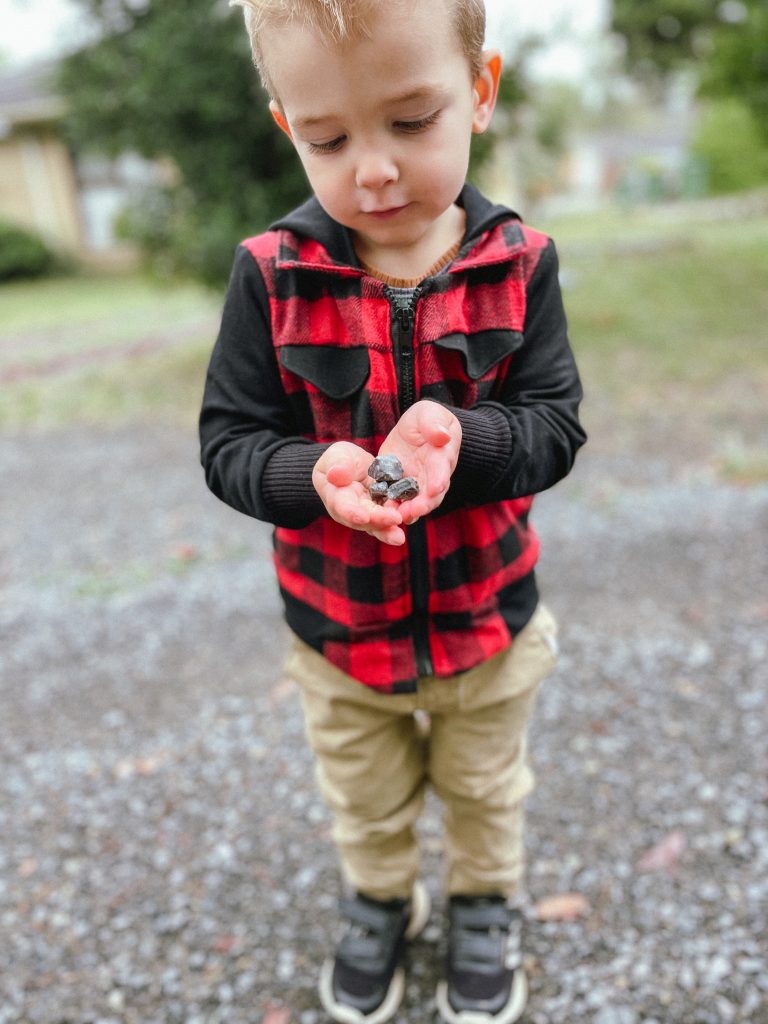 photo of a kid showing off something with both hands